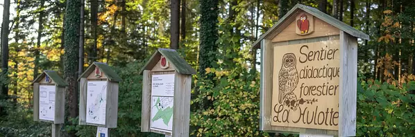 Image - SentierDidactiqueForestier1.jpg
